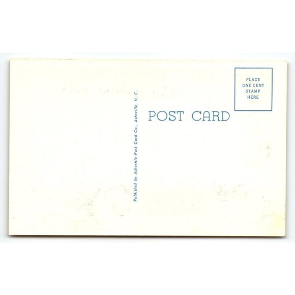 Vintage 1950s Linen Comic Postcard I Really Had'na Auto Green Car - Picture 2 of 2